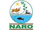 NARO