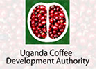 Uganda Coffee Development Authority